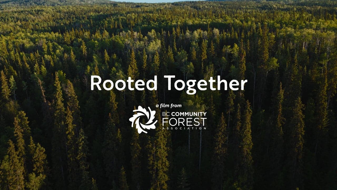 Still from Rooted Together